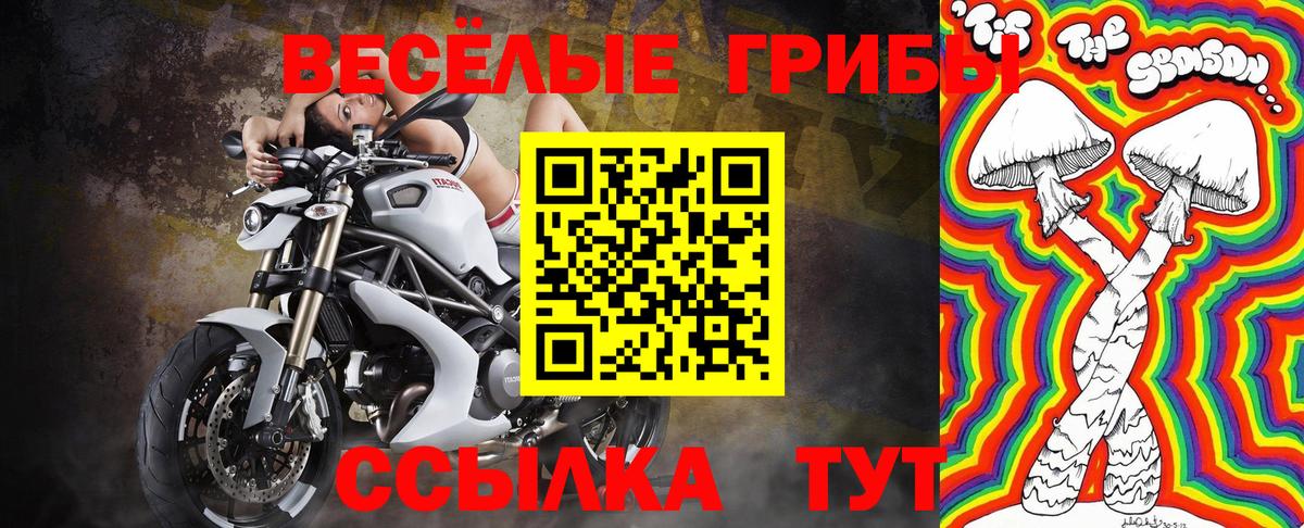 Семилуки  Галлюциногенные грибы прущие грибы  Вход с VPN  Псилоцибиновые грибы мухоморы 