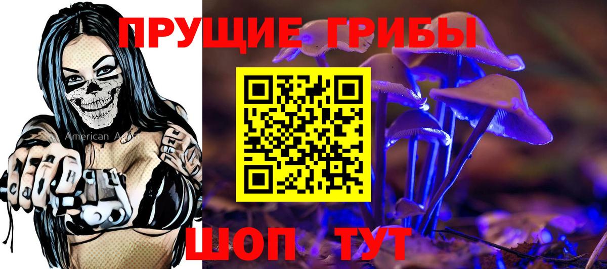Псилоцибиновые грибы Cubensis Семилуки